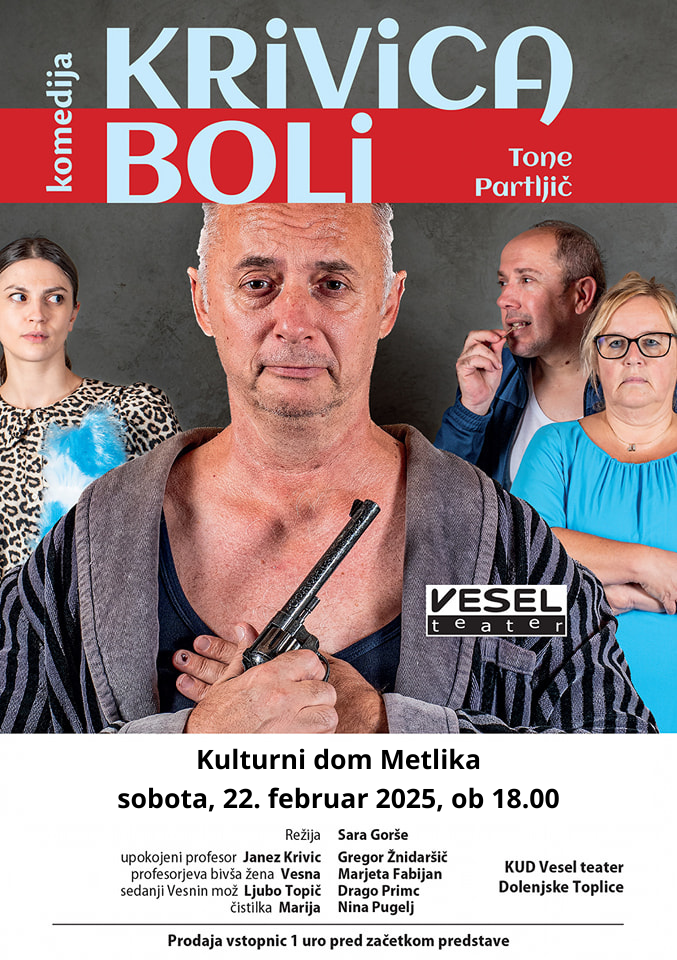 Kulturni dom Metlika (1)