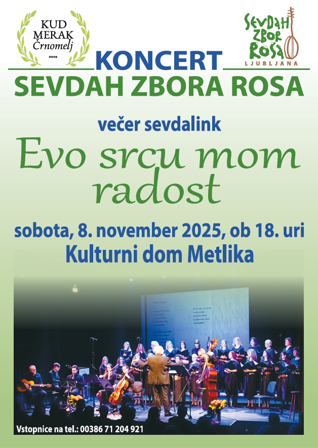 Posnetek zaslona 2025-10-30 074057